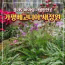 청심유치원 | 경기도 아기랑 실내 가볼만한곳 가평 베고니아 새정원 가는방법 주차장 솔직 후기