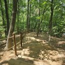 도시공원 이미지