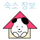 송송 스테이 이미지