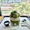 [설빙] 말차빙수 팥절미말차설빙 내돈내산 후기 (가격, 칼로리, 맛)