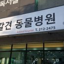 선경동물병원 이미지