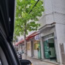 벌교5일시장(배동자) | [암사동 맛집] 강동구 대박 갓성비 오마카세 &#39;인생횟집&#39; 4인 재방문 내돈내산 후기