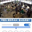 리프패럿 이미지