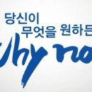 와이낫(why not) 이미지