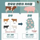 한우한돈나라 네이버블로그