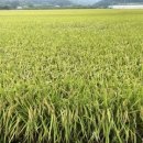 (찾아가는) 실버 책놀이 이미지