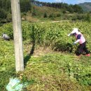 지성농장 이미지