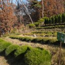 일산목장 이미지