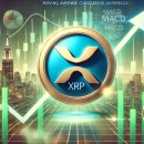 [주요 뉴스] XRP, 사상 최고가 경신 가능성 … 50달러~60달러 도달 전망 이미지