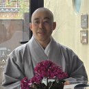 동은 이미지