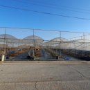 김일병농장 이미지