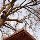 흥양1리 경로당 | [걷기코스] 시청-영서고-흥양리-원주IC-상지대 (2)