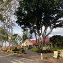 선길농장 | 5살아이와 하와이여행 오아후 파인애플농장 돌플랜테이션 태닝키티 살수있는곳