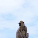 신서-2 이미지