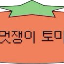 토스티데이즈