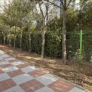 운흥초등학교 이미지