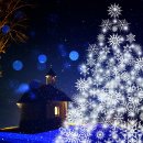 크리스마스 트리 이미지