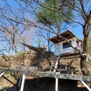 평창힐링스테이 이미지