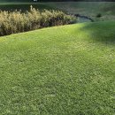 소피아그린 이미지