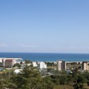 엔로즈 이미지