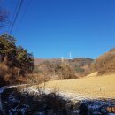 터골옆 네이버블로그