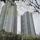 도성초등학교 | 강남 학군지 아파트 어디가 좋을까? 도곡 &amp; 역삼 아파트 임장 후기