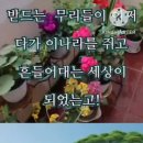 호호