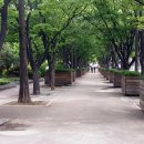 부평공원 이미지