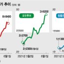 여행주 이미지