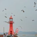 풀향기민박