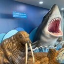 예진어린이집 | 일산나들이 : 일산 아기랑 갈만한 곳 아쿠아플라넷