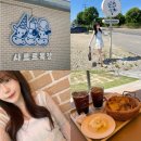 호수목장 | 포천 산정호수 근처 카페 사르르목장 카이막 치즈 세트 내돈내산 후기