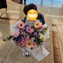 모두가사랑할작은숲