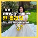 양재시장 | 양재꽃시장 부케 가성비 추천 련 플라워 꽃다발 후기