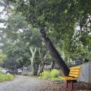 별바다하우스 이미지