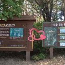 돌리네습지 초소 이미지