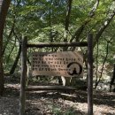 [일기] 2024-10 두물머리ㅣ우래옥ㅣ충무아트센터 토요일 자유수영ㅣ강화도 루지ㅣ강화도 조양방직ㅣ머리...