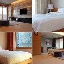 소노펠리체 이미지