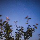 한국 SGI 이미지