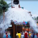 여주-0101 이미지