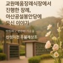 충남상조의전 이미지