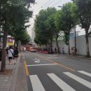 삼성 디지털 프라자 앞 횡단보도 이미지