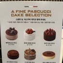 파스쿠찌종로2가점