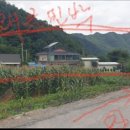 왜골민박 이미지