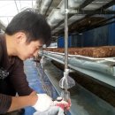 영세농장 이미지