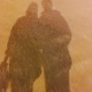 스시명가眞(진) 이미지