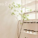 청담동 머리 잘 하는 미용실 차홍아르더 청담점 할인