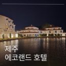 에코랜드수영장 | 제주 에코랜드 호텔 디럭스트윈 포레스트 룸후기 + 수영장