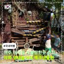 경기도 여주 아이랑 가볼만한곳 추천 || 야외 키즈카페 생태놀이터 예크생물원