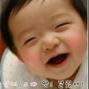 명지체육관 이미지